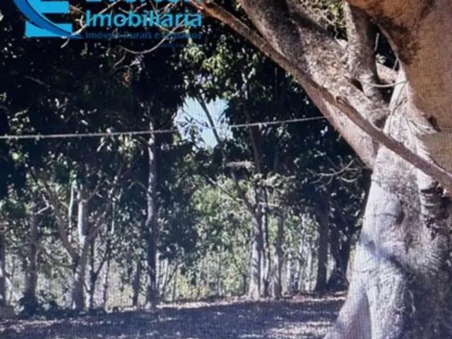 Sítio / Chácara para Venda em Lagamar/MG Zona Rural 3 Quartos