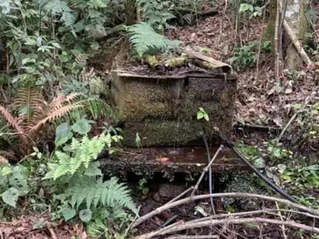 Sítio / Chácara para Venda em Lages/SC Índios 2 Quartos