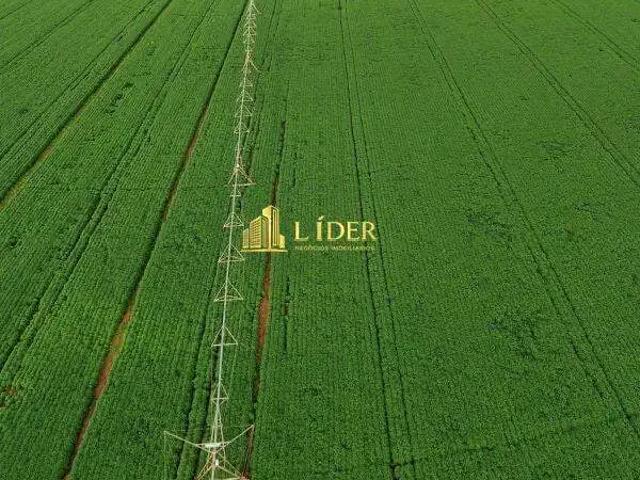 Sítio / Chácara para Venda em Lagoa Grande/MG Zona Rural