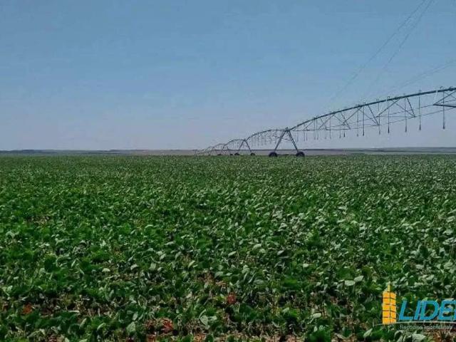 Sítio / Chácara para Venda em Lagoa Grande/MG Zona Rural