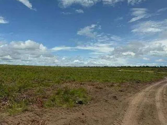 Sítio / Chácara para Venda em Lagoa do Tocantins/TO Zona Rural