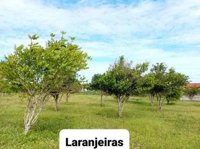 Sítio / Chácara para Venda em Lagoa de Pedras/RN Centro 3 Quartos
