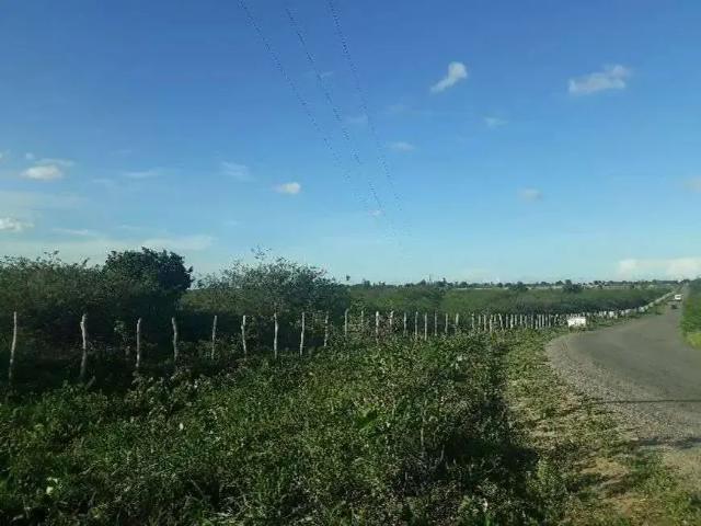 Sítio / Chácara para Venda em Lagoa de Pedras/RN Centro 3 Quartos