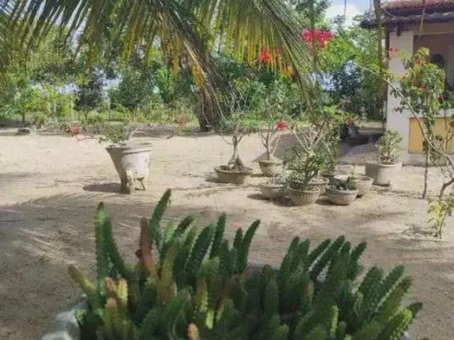 Sítio / Chácara para Venda em Lagoa de Pedras/RN Centro 3 Quartos