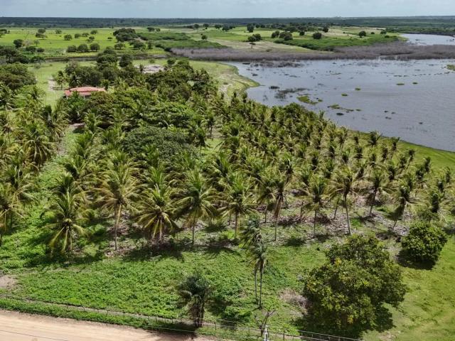 Sítio / Chácara para Venda em Lagoa Salgada/RN Cajueiro 3 Quartos