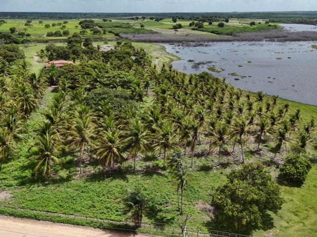 Sítio / Chácara para Venda em Lagoa Salgada/RN Cajueiro 3 Quartos