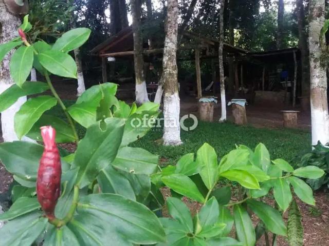 Sítio / Chácara para Venda em Lapa/PR Mariental 3 Quartos