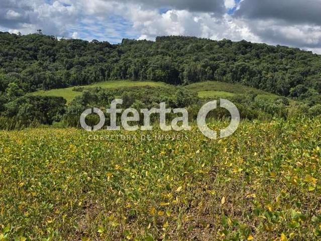 Sítio / Chácara para Venda em Lapa/PR Água Azul