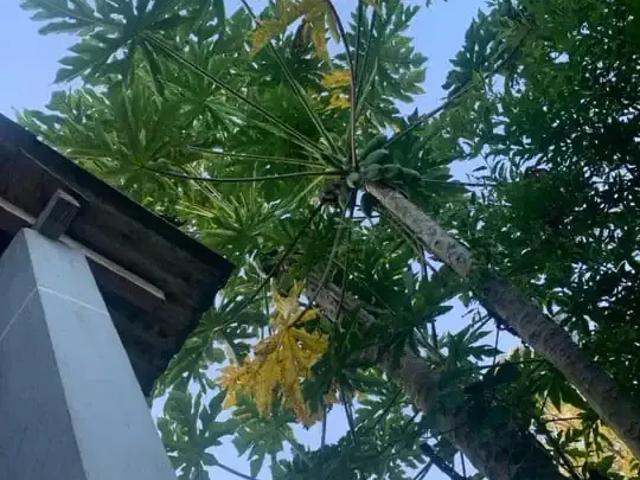Sítio / Chácara para Venda em Lapa/PR Água Azul 4 Quartos