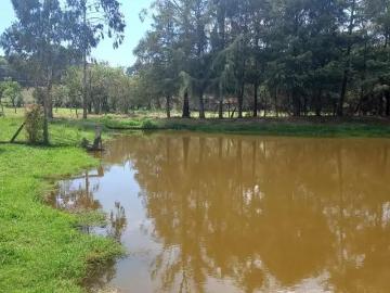 Centro de São Jose dos Pinhais, São José dos Pinhais, Balneário Piçarras