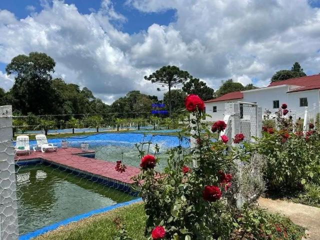 Sítio / Chácara para Venda em Lapa/PR Área Rural 3 Quartos