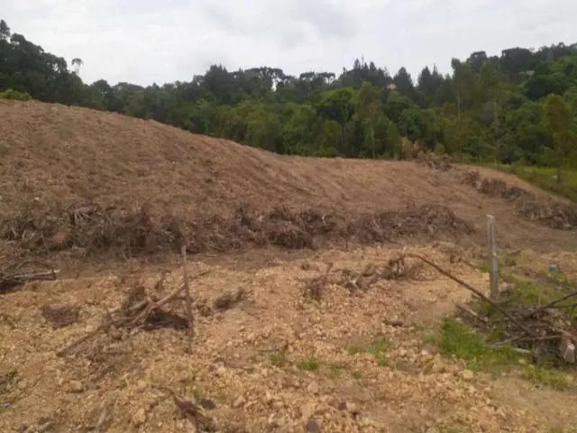 Sítio / Chácara para Venda em Lapa/PR Área Rural 4 Quartos