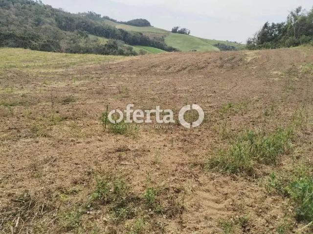 Sítio / Chácara para Venda em Lapa/PR Bonito