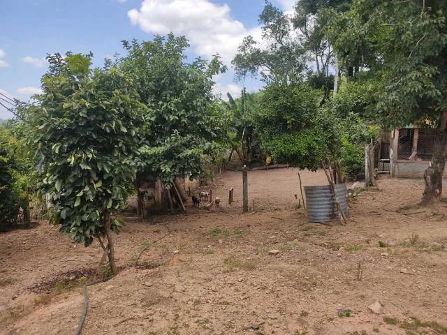 Sítio / Chácara para Venda em Lapa/PR Distrito Mariental 3 Quartos