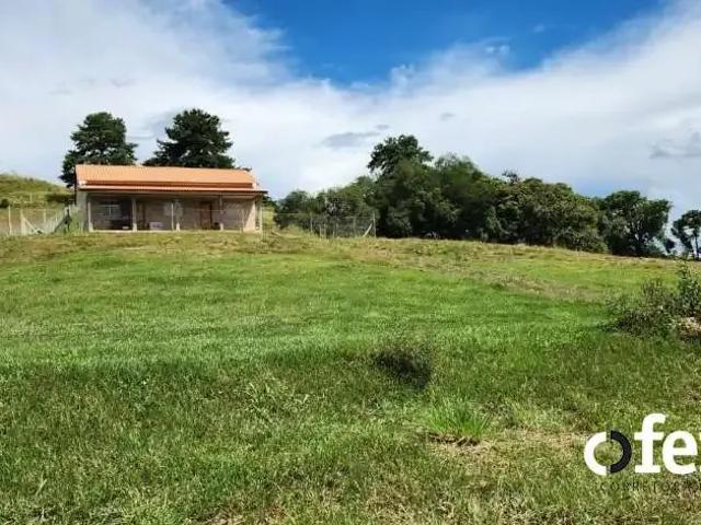 Sítio / Chácara para Venda em Lapa/PR Passa Dois 3 Quartos
