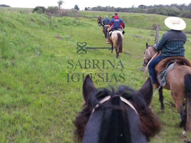 Sítio / Chácara para Venda em Lapa/PR Passa Dois