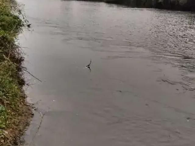 Sítio / Chácara para Venda em Laranjal Paulista/SP Zona Rural 2 Quartos