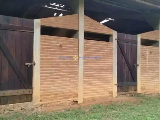 Sítio / Chácara para Venda em Leopoldina/MG Tebas 4 Quartos