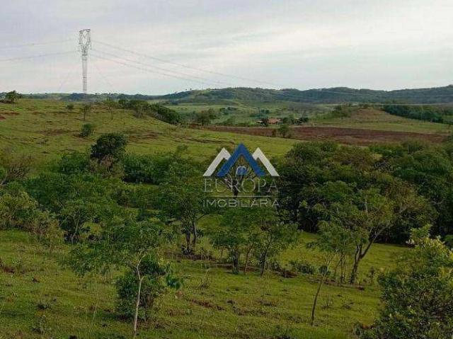 Sítio / Chácara para Venda em Leópolis/PR Zona Rural