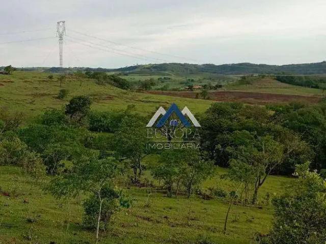 Sítio / Chácara para Venda em Leópolis/PR Zona Rural