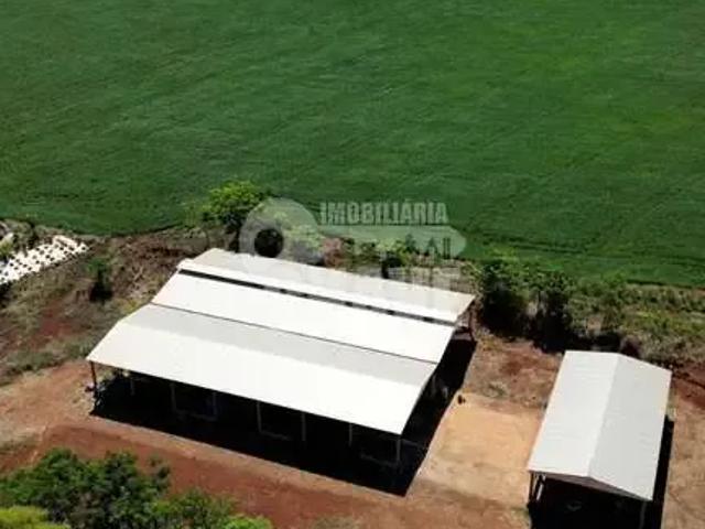 Sítio / Chácara para Venda em Leópolis/PR Distrito Primavera 4 Quartos