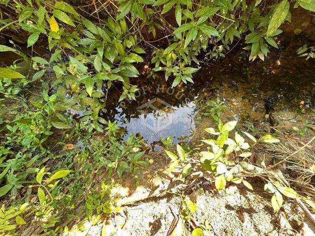 Sítio / Chácara para Venda em Limeira/SP Bairro do Pinhal 2 Quartos