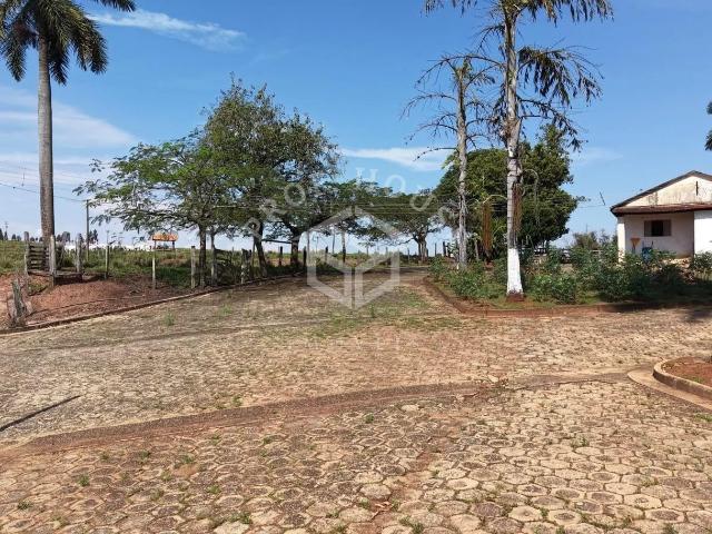 Sítio / Chácara para Venda em Limeira/SP Jardim Lagoa Nova 5 Quartos