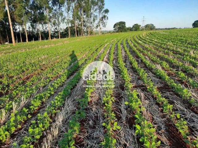 Sítio / Chácara para Venda em Lindoeste/PR Zona Rural