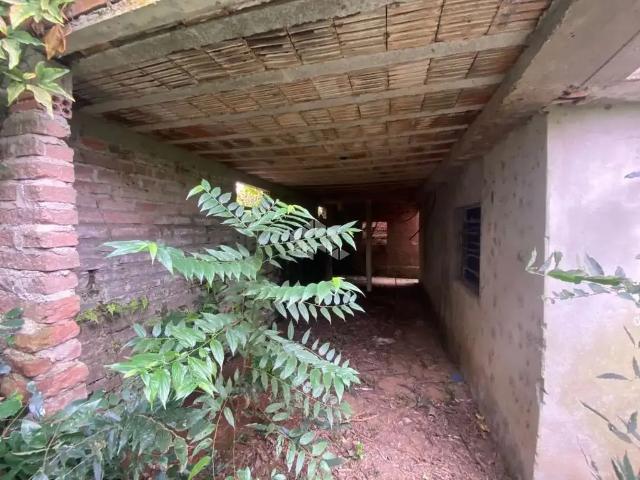 Sítio / Chácara para Venda em Lindolfo Collor/RS Capivarinha 2 Quartos