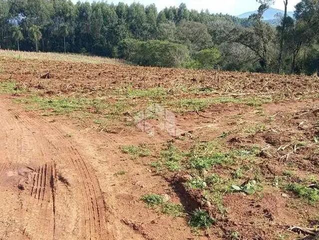 Sítio / Chácara para Venda em Lindolfo Collor/RS Centro