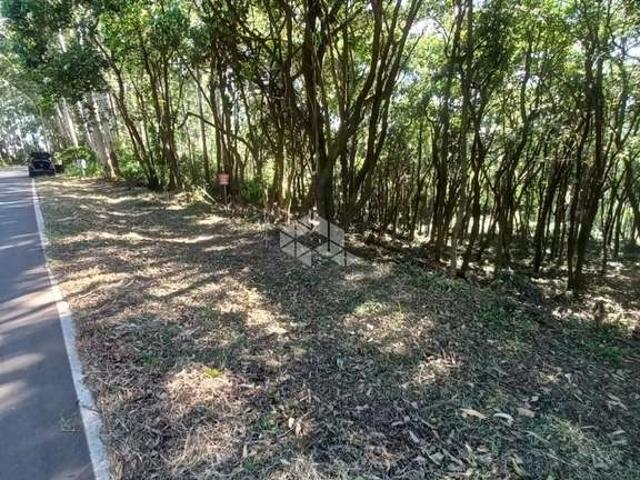 Sítio / Chácara para Venda em Linha Nova/RS Centro