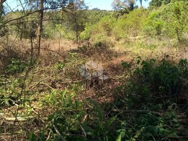 Sítio / Chácara para Venda em Linha Nova/RS Zona Rural 3 Quartos