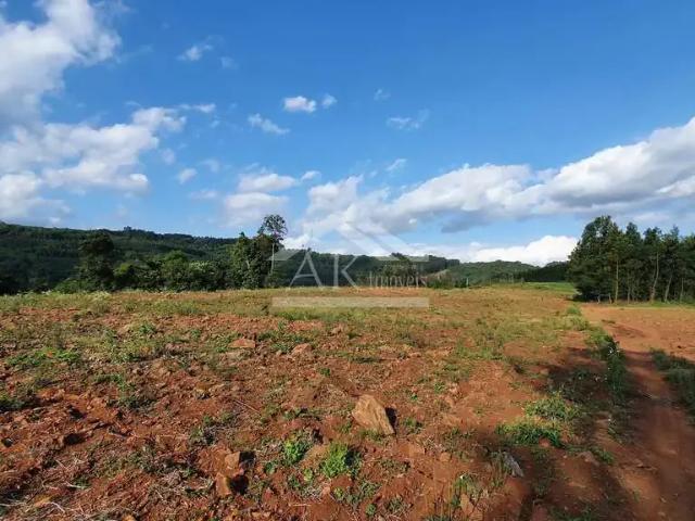 Sítio / Chácara para Venda em Linha Nova/RS Zona Rural 1 Quartos