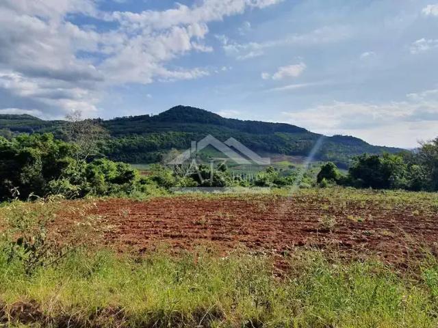 Sítio / Chácara para Venda em Linha Nova/RS Zona Rural 1 Quartos