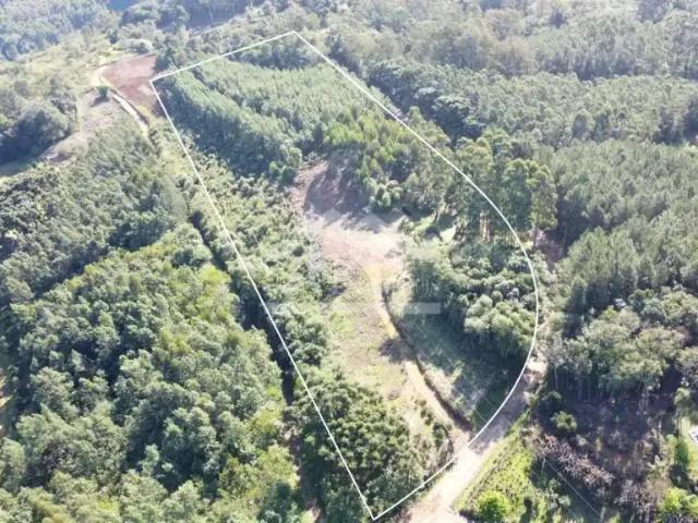Sítio / Chácara para Venda em Linha Nova/RS Zona Rural 1 Quartos