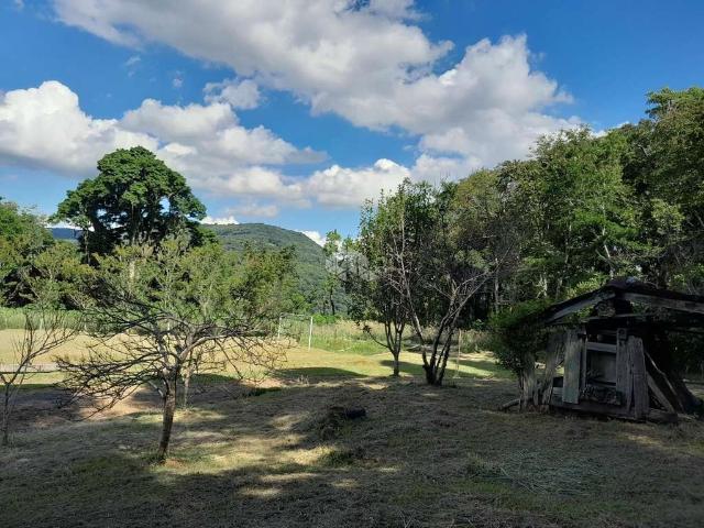 Sítio / Chácara para Venda em Linha Nova/RS Zona Rural 2 Quartos