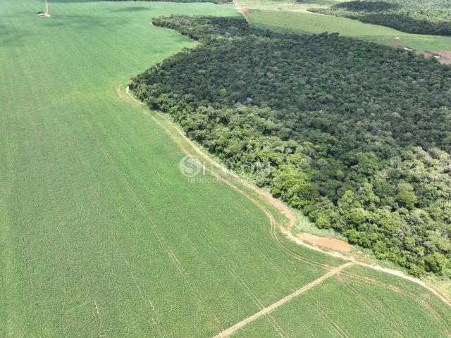 Sítio / Chácara para Venda em Lucas do Rio Verde/MT Centro