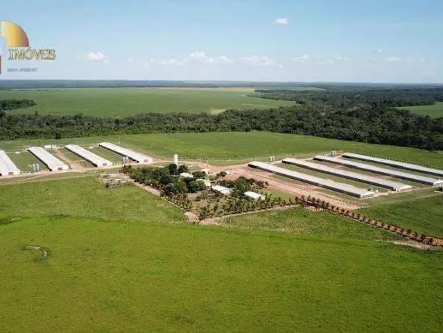 Sítio / Chácara para Venda em Lucas do Rio Verde/MT Zona Rural