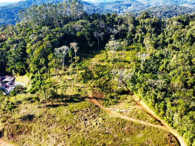 Sítio / Chácara para Venda em Luiz Alves/SC Vila do Salto