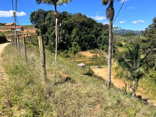 Sítio / Chácara para Venda em Luiz Alves/SC Zona Rural