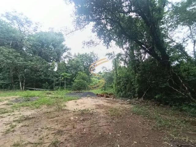 Sítio / Chácara para Venda em Mococa/SP Área Rural de Mococa 2 Quartos