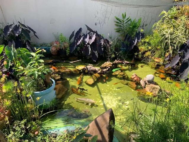 Sítio / Chácara para Venda em Mogi Mirim/SP Pederneiras 2 Quartos