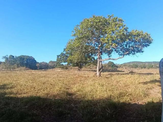 Sítio / Chácara para Venda em Moita Bonita/SE Área Rural de Moita Bonita 3 Quartos