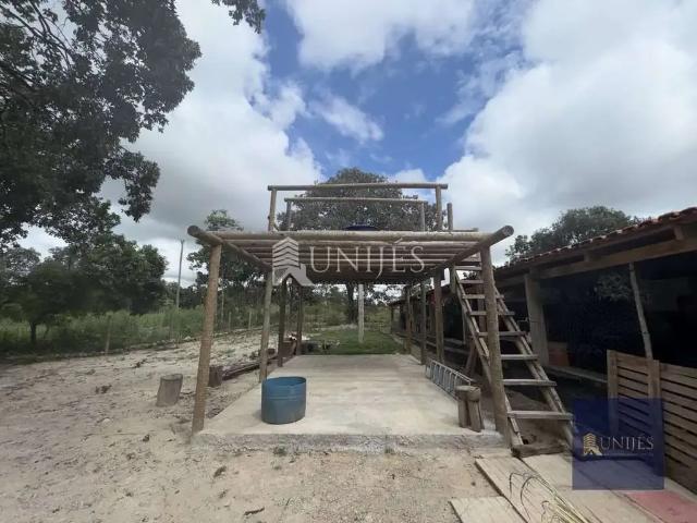 Sítio / Chácara para Venda em Monte Carmelo/MG Zona Rural 3 Quartos