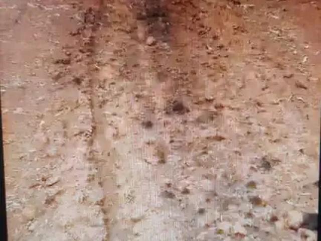 Sítio / Chácara para Venda em Monte Carmelo/MG Zona Rural