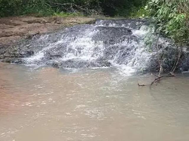 Sítio / Chácara para Venda em Monte Alegre de Minas/MG Centro