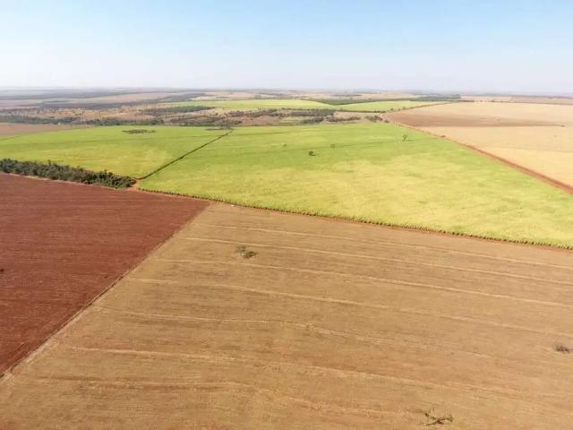 Sítio / Chácara para Venda em Monte Alegre de Minas/MG Zona Rural