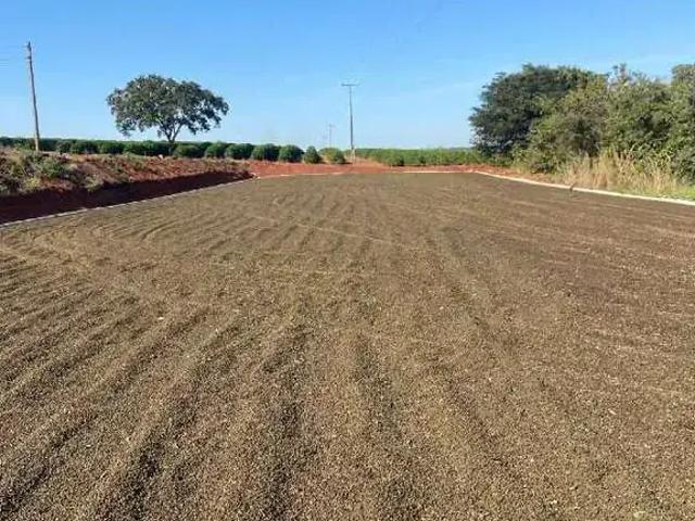 Sítio / Chácara para Venda em Monte Alegre de Minas/MG Zona Rural