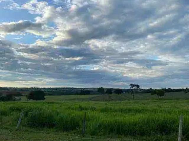Sítio / Chácara para Venda em Monte Alegre de Minas/MG Zona Rural