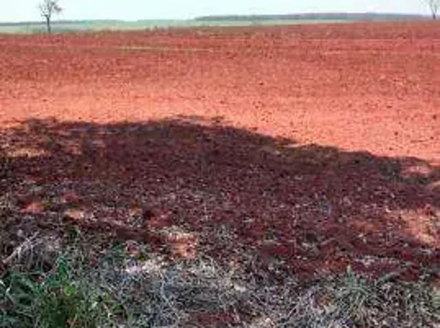 Sítio / Chácara para Venda em Monte Alegre de Minas/MG Zona Rural